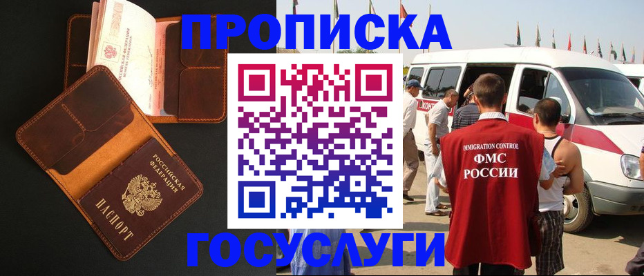 прописка законно в Североморске